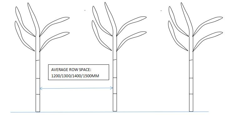 2CZ-1 product detail