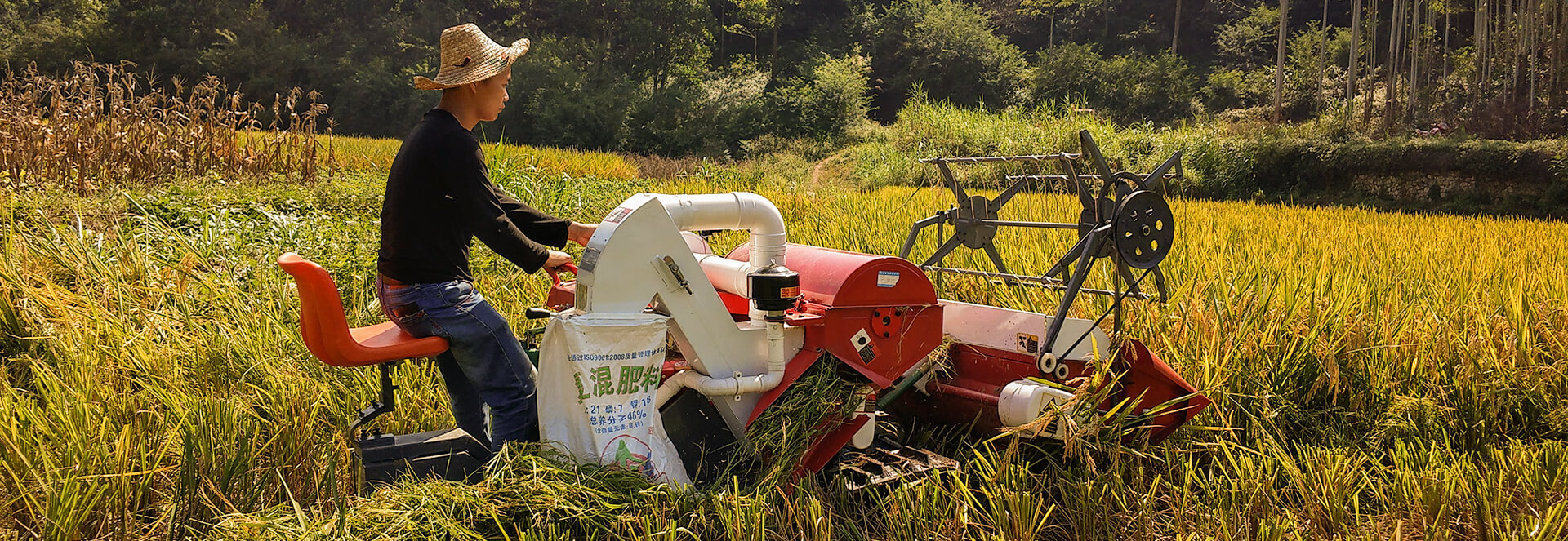 TAGRM rice harvesting machine working in a field