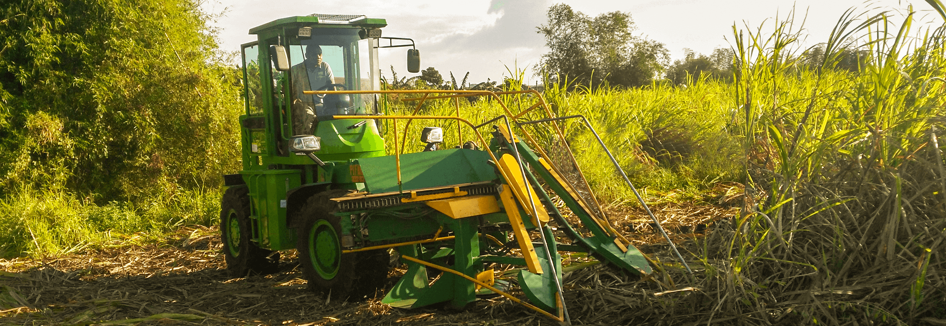 TAGRM sugarcane harvesting machinery in operation