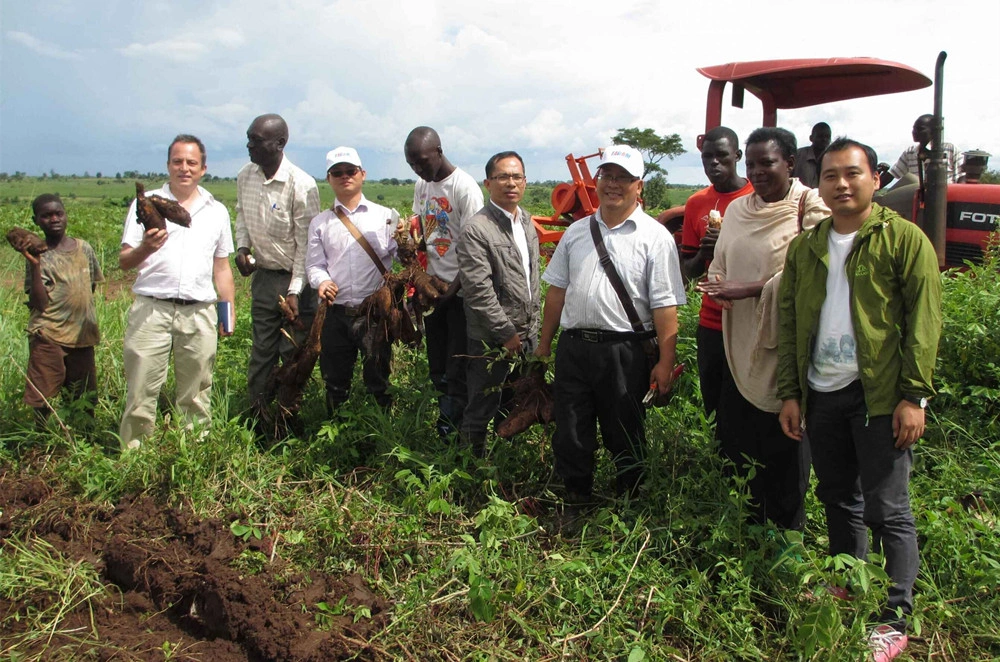 TAGRM team and local partners in a cassava field